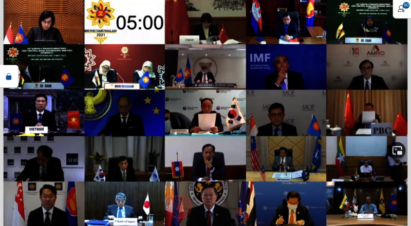 Delegates at the Meeting (screenshot)