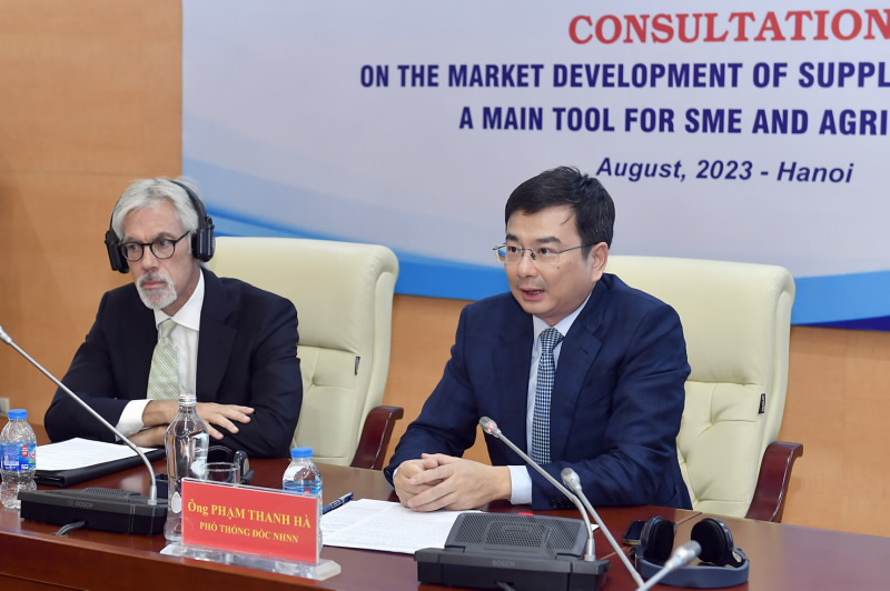 Deputy Governor Pham Thanh Ha speaks at the Consultation