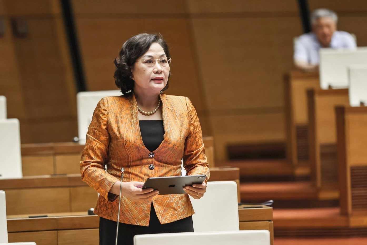 SBV Governor Nguyen Thi Hong