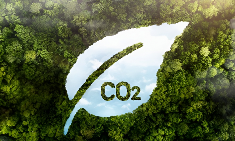 EU lần đầu cho phép sử dụng tín chỉ carbon quốc tế trong mục tiêu khí hậu năm 2040