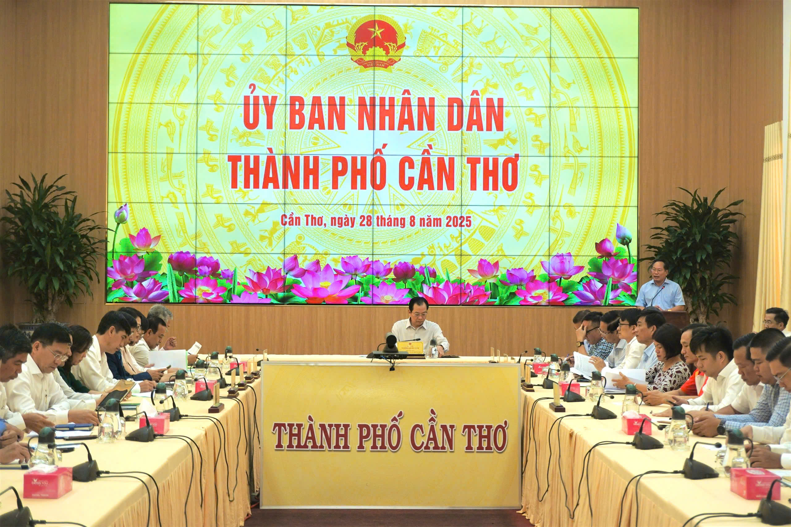 Hình nhỏ
