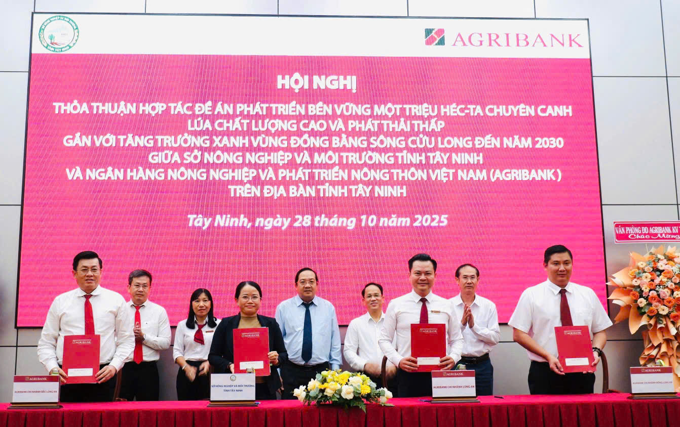 Ngân hàng liên kết với địa phương triển khai cho vay chương trình 1 triệu ha lúa phát thải thấp